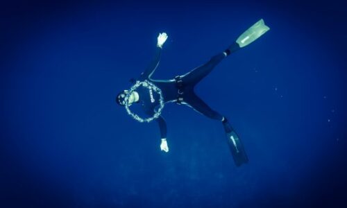 8 Reasons Why Freediving Is So Amazing