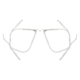 Universal Optical Frame and Lens